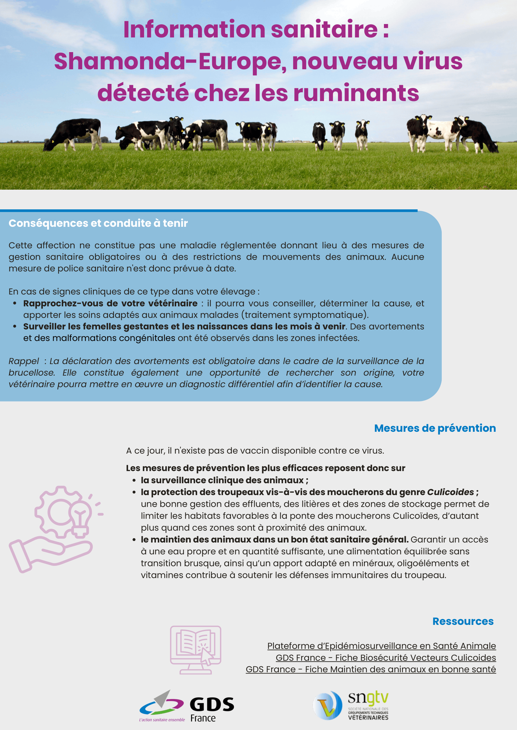 Fiche éleveurs Ruminants_Shamonda_23102026-2