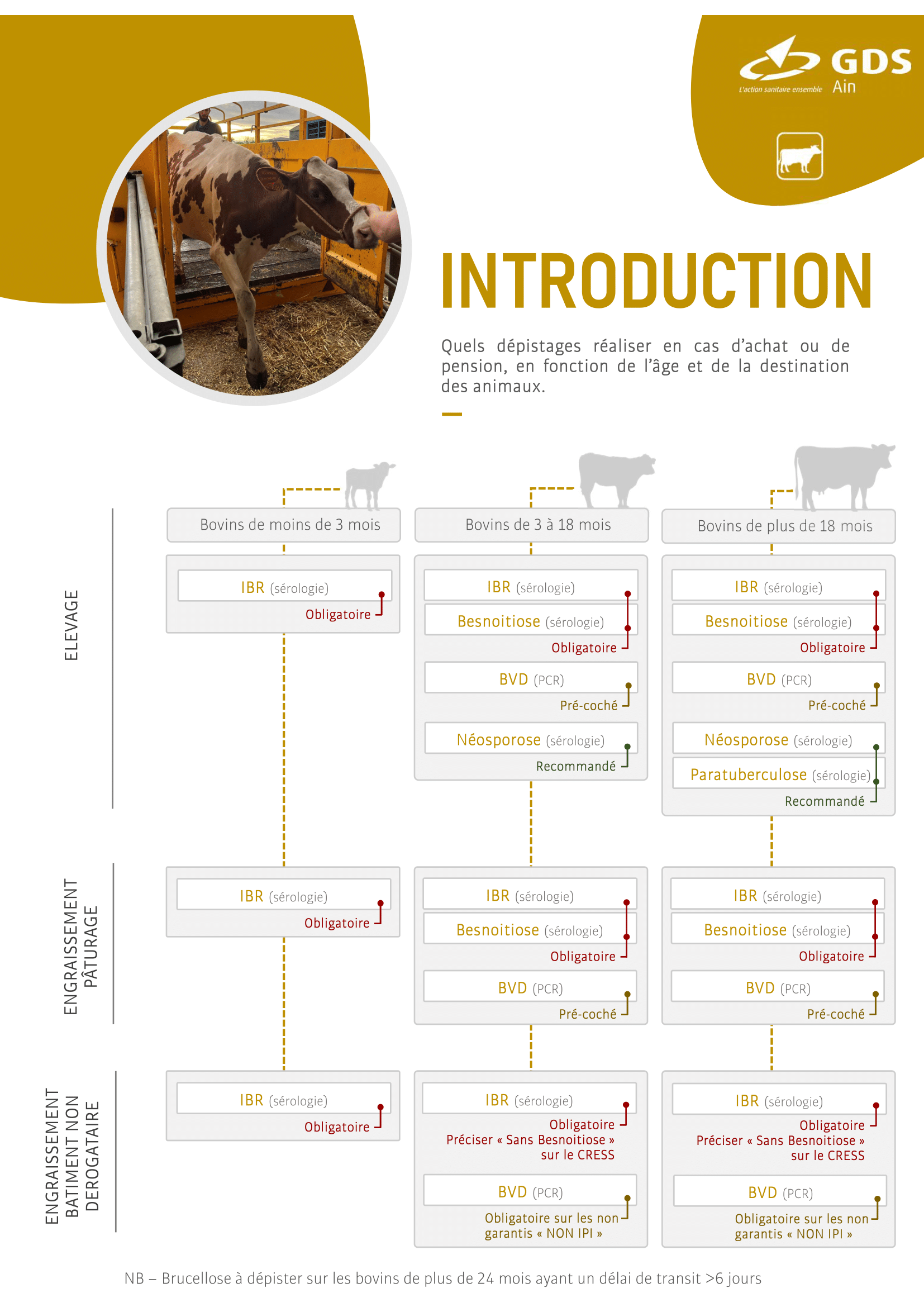 GDS 01 - DEPISTAGE A LINTRODUCTION-1
