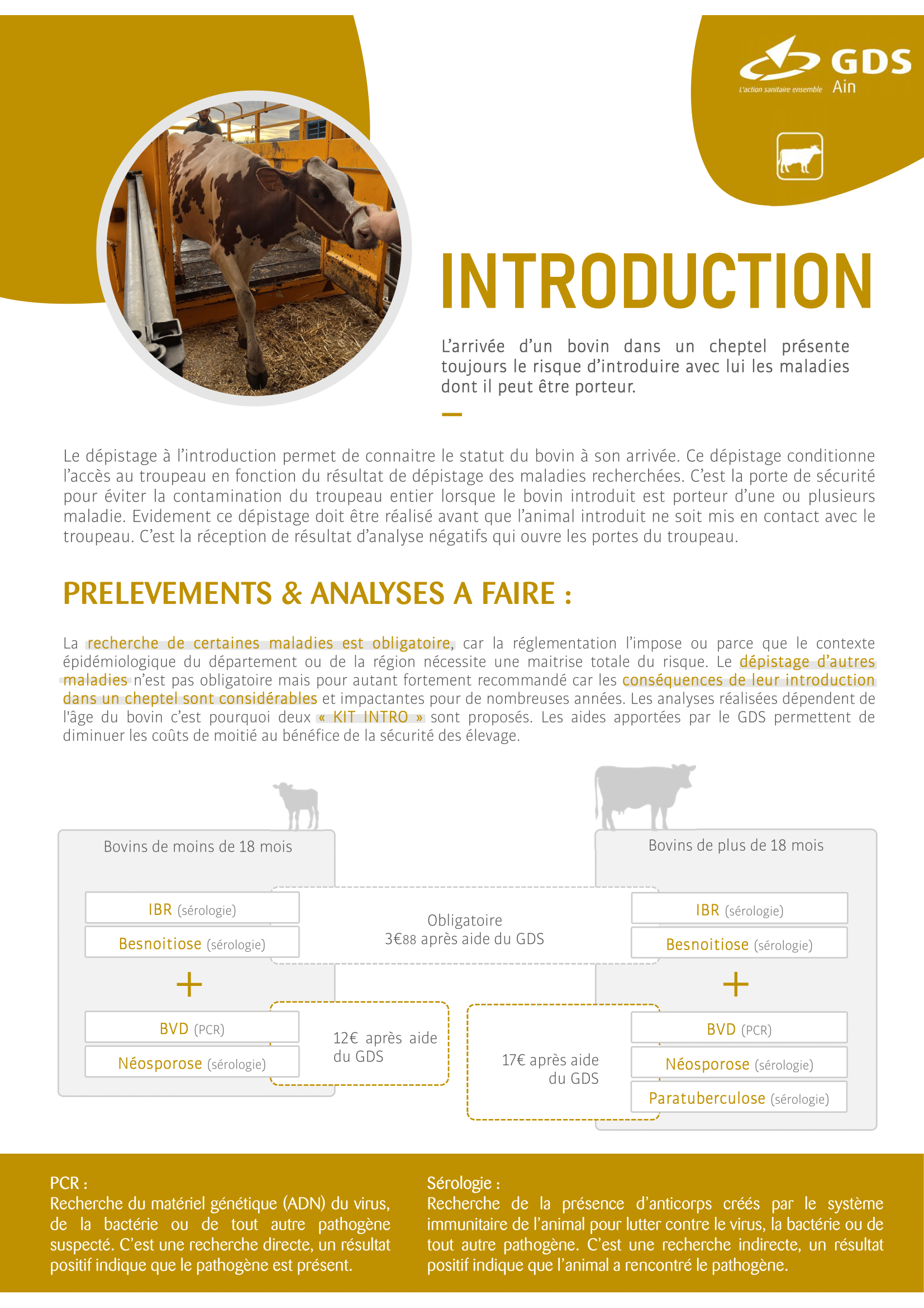 GDS 01 - INTRODUCTION-1