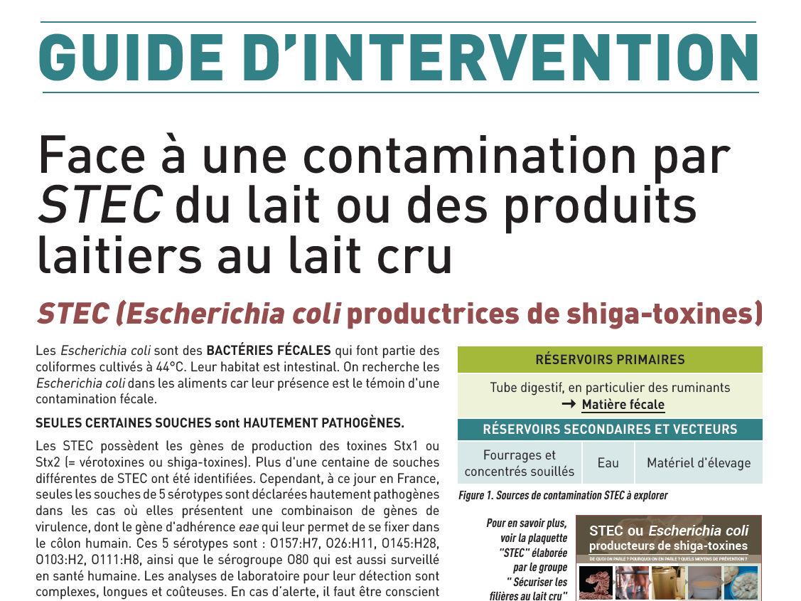 1ere_page_guide_intervention_STEC