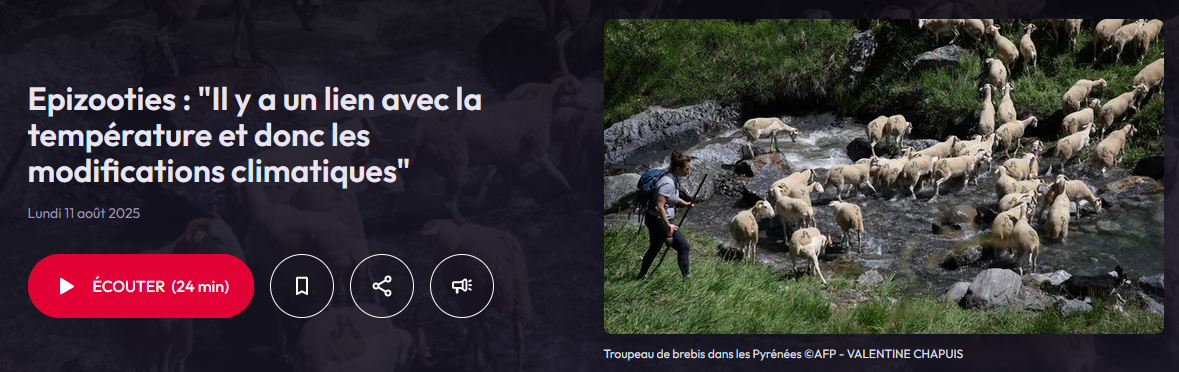 Replay France Inter