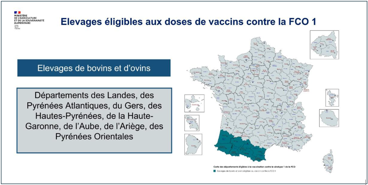 Stratégie vaccinale 1