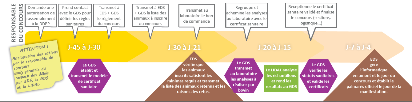Frise concours - février 25