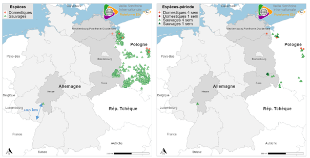 PPA Allemagne 07-24