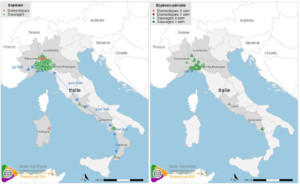 PPA Italie 07-24