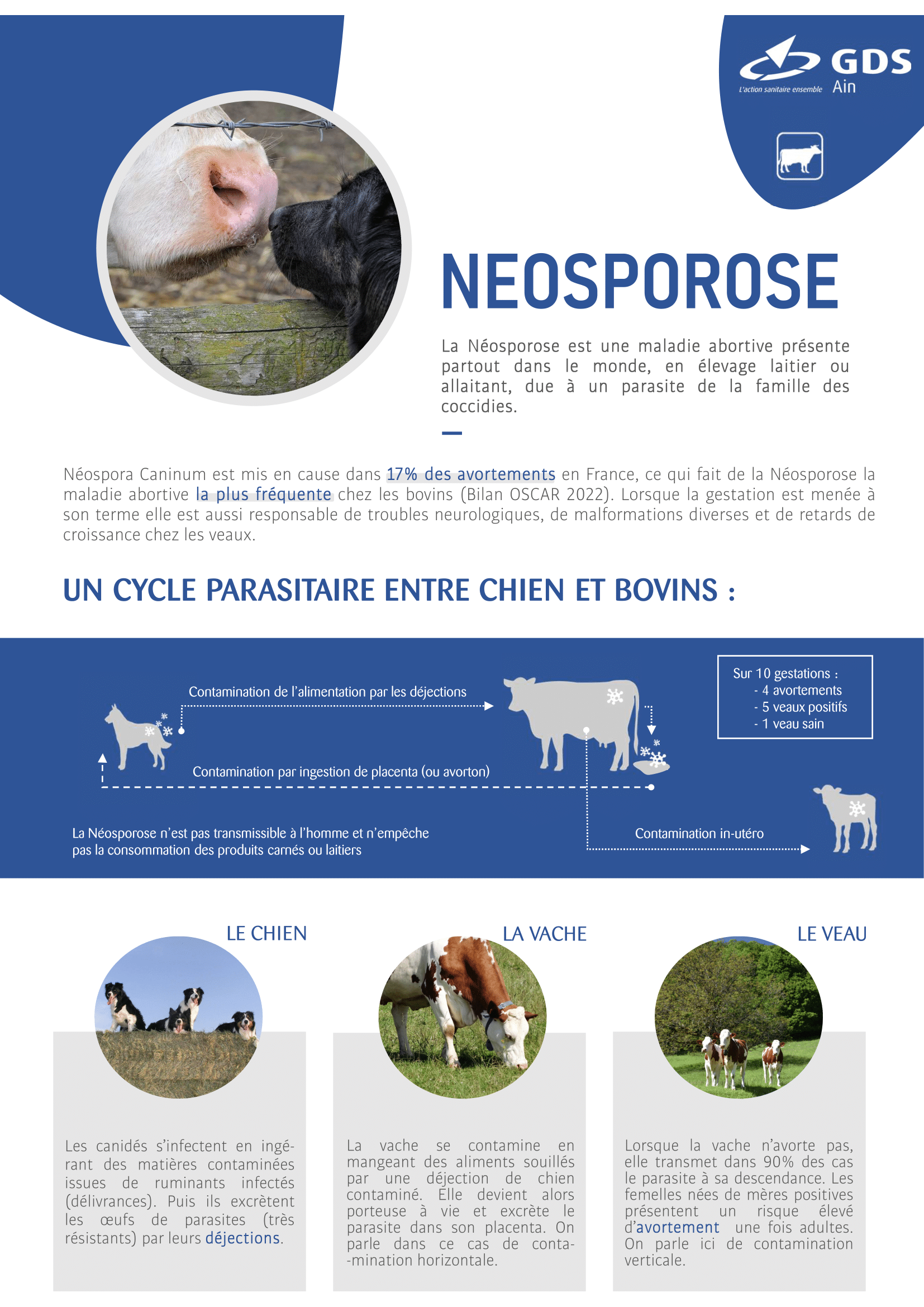 GDS01 - NEOSPOROSE BV-1