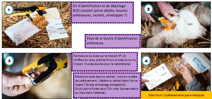 BOUCLE_BVD_en_pratique