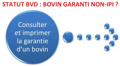 Garantie-non-IPI_V2