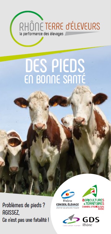 1ere_page_flyer_despiedsenbonnesante