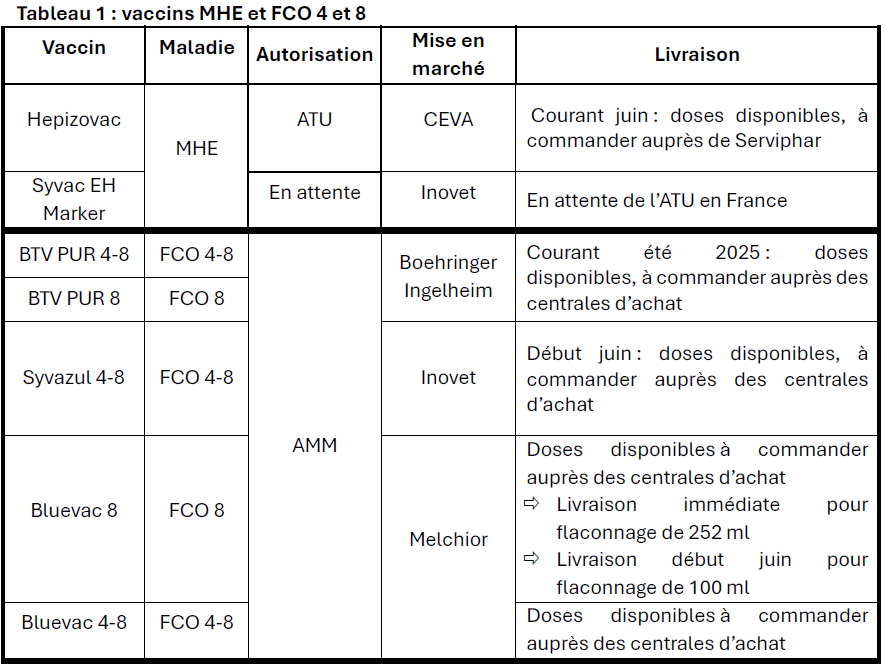 Dispo_vaccin_FCO_1