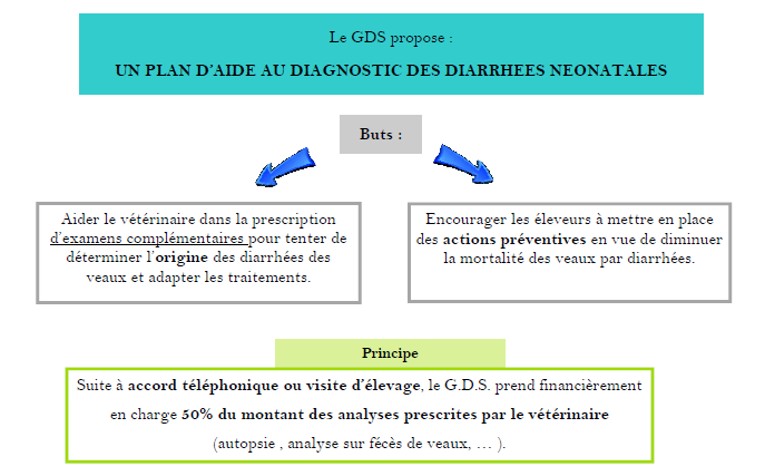Plan daide diarrhées des veaux