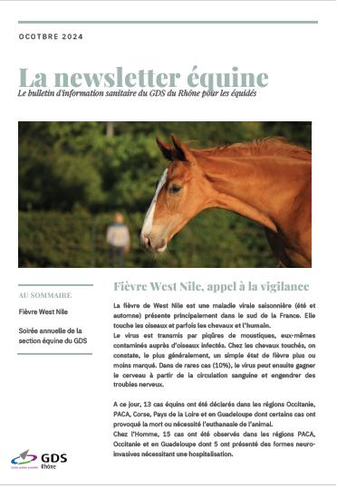 Newsletter_équins_oct_2024_1ere_page