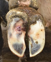 Photo_audit_boiterie