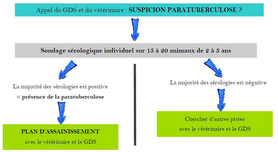 Paratuberculose_guide_JI