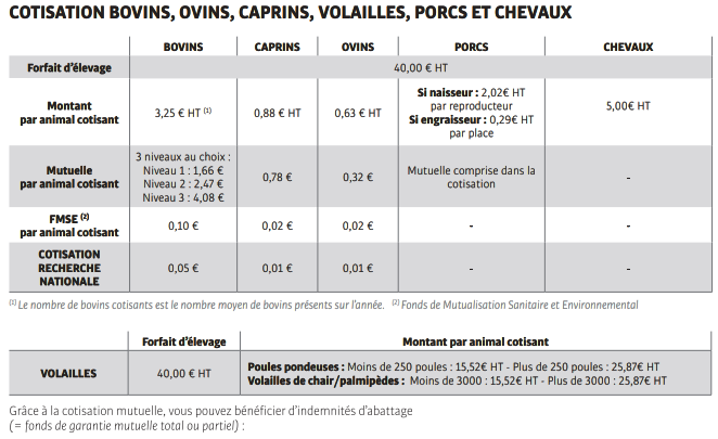 Cotisations 2024_2025