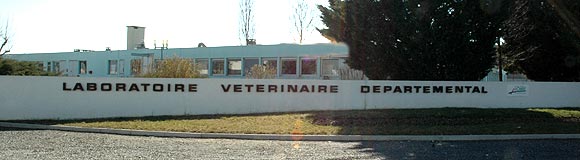 Photo_labo_veterinaire_Terana