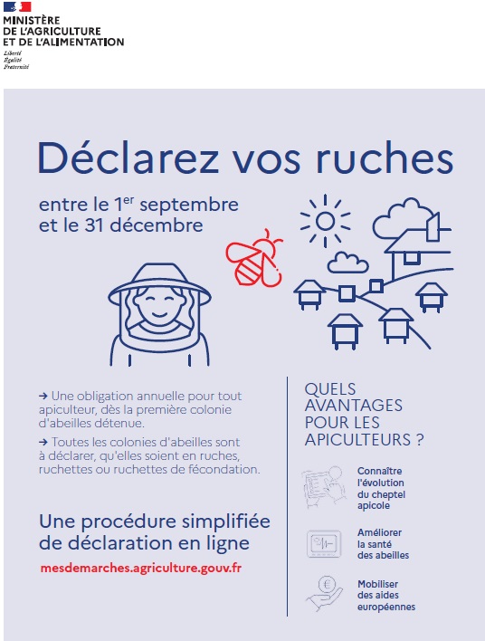 Declarer_vos_ruches