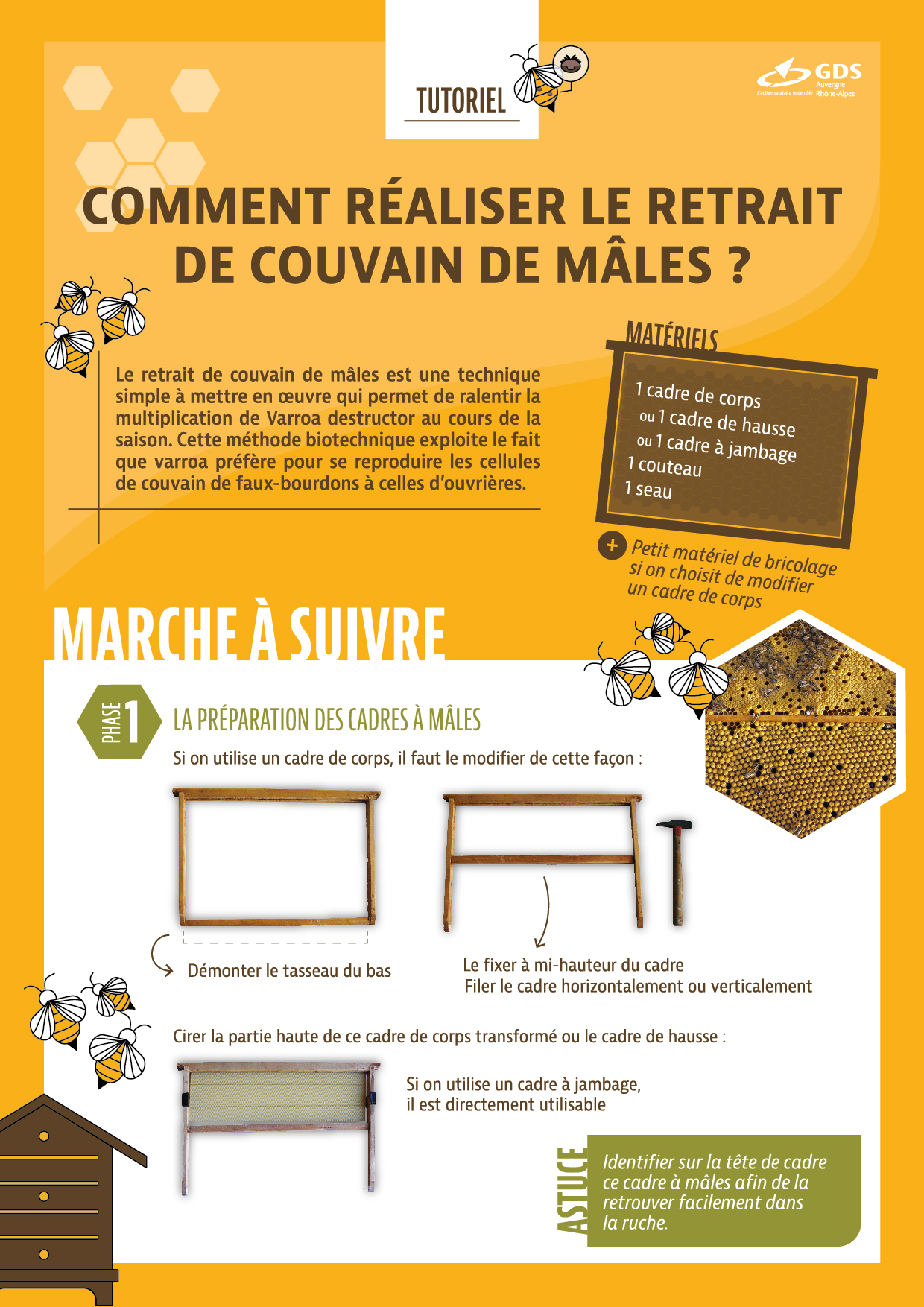 Tuto Retrait couvain mâles GDS Auvergne Rhône Alpes-01