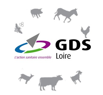 Logo GDS Loire
