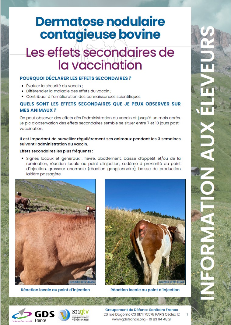 fiche effets secondaire 