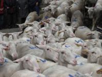 La maladie provoque des avotrements